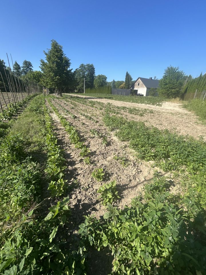 Działka rolna Giebułtów Podwikle, ul. Olszynowa. Zdjęcie 4