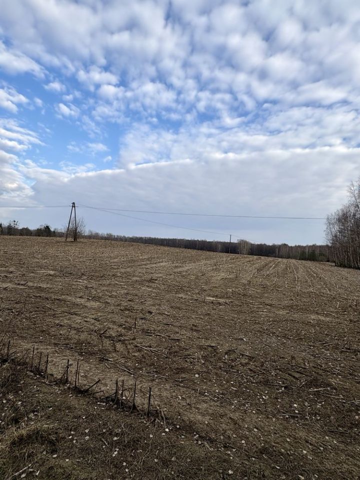 Działka rolna Rogowo-Kolonia. Zdjęcie 2