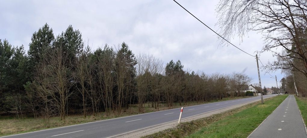 Działka budowlana Zielona Góra, ul. Ochla-Pustynna. Zdjęcie 4