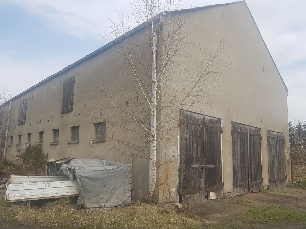 siedlisko Dębczyno. Zdjęcie 7