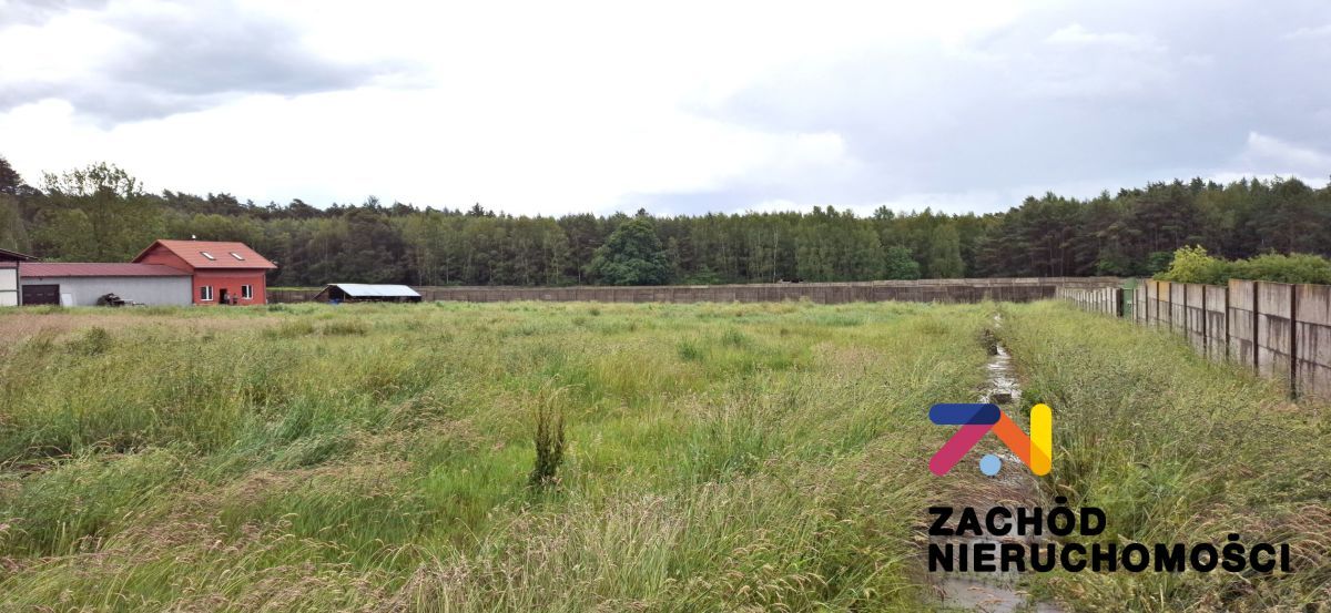 Hala/magazyn Zielona Góra. Zdjęcie 3