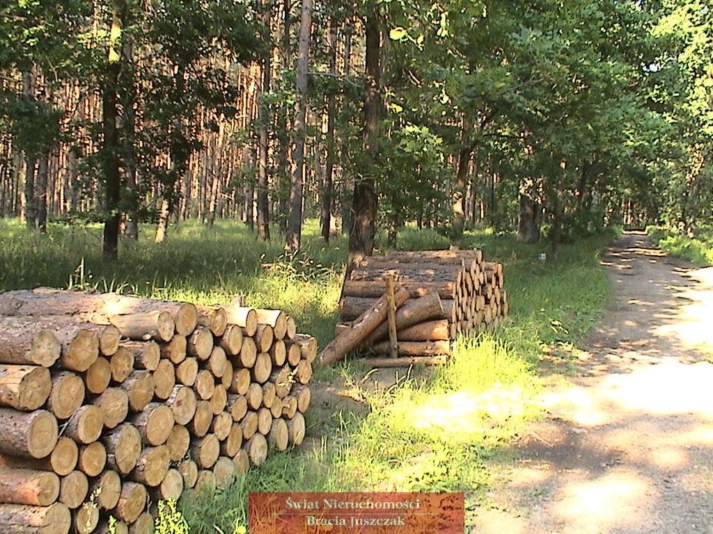 dom wolnostojący, 5 pokoi Wilczyn. Zdjęcie 17