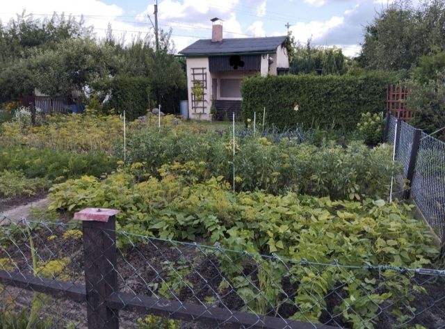 Działka rod Szczecinek, ul. Słupska. Zdjęcie 1