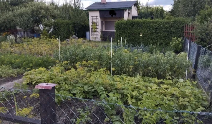 Działka rod Szczecinek, ul. Słupska