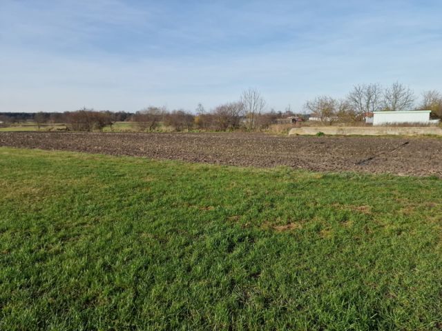 Działka rolna Biskupice. Zdjęcie 4