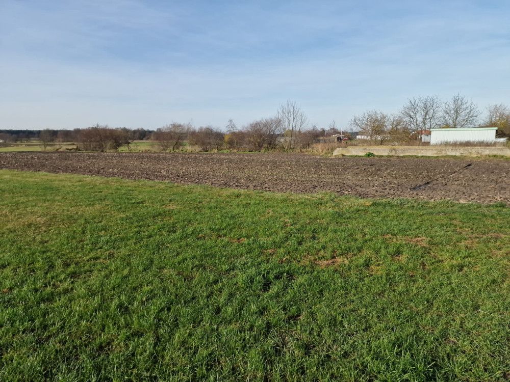 Działka rolna Biskupice. Zdjęcie 4