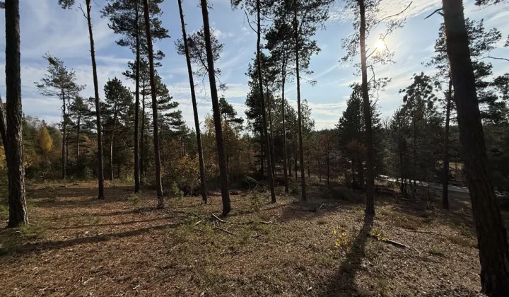 Działka budowlana Tereszpol-Kukiełki
