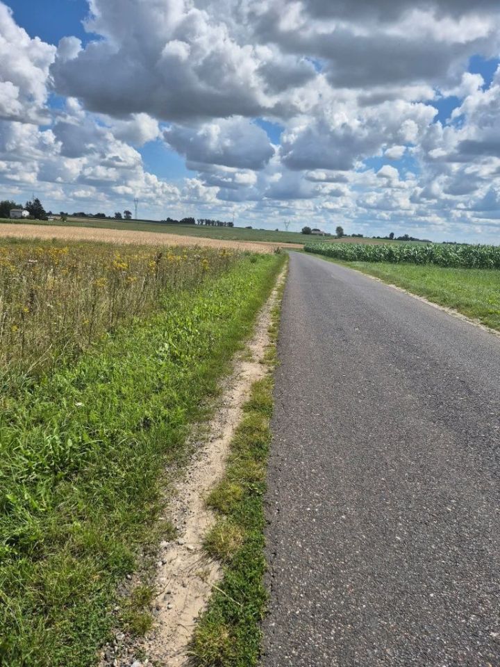 Działka budowlana Obrowo. Zdjęcie 2