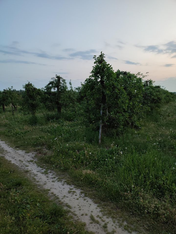 Działka rolna Mogielnica