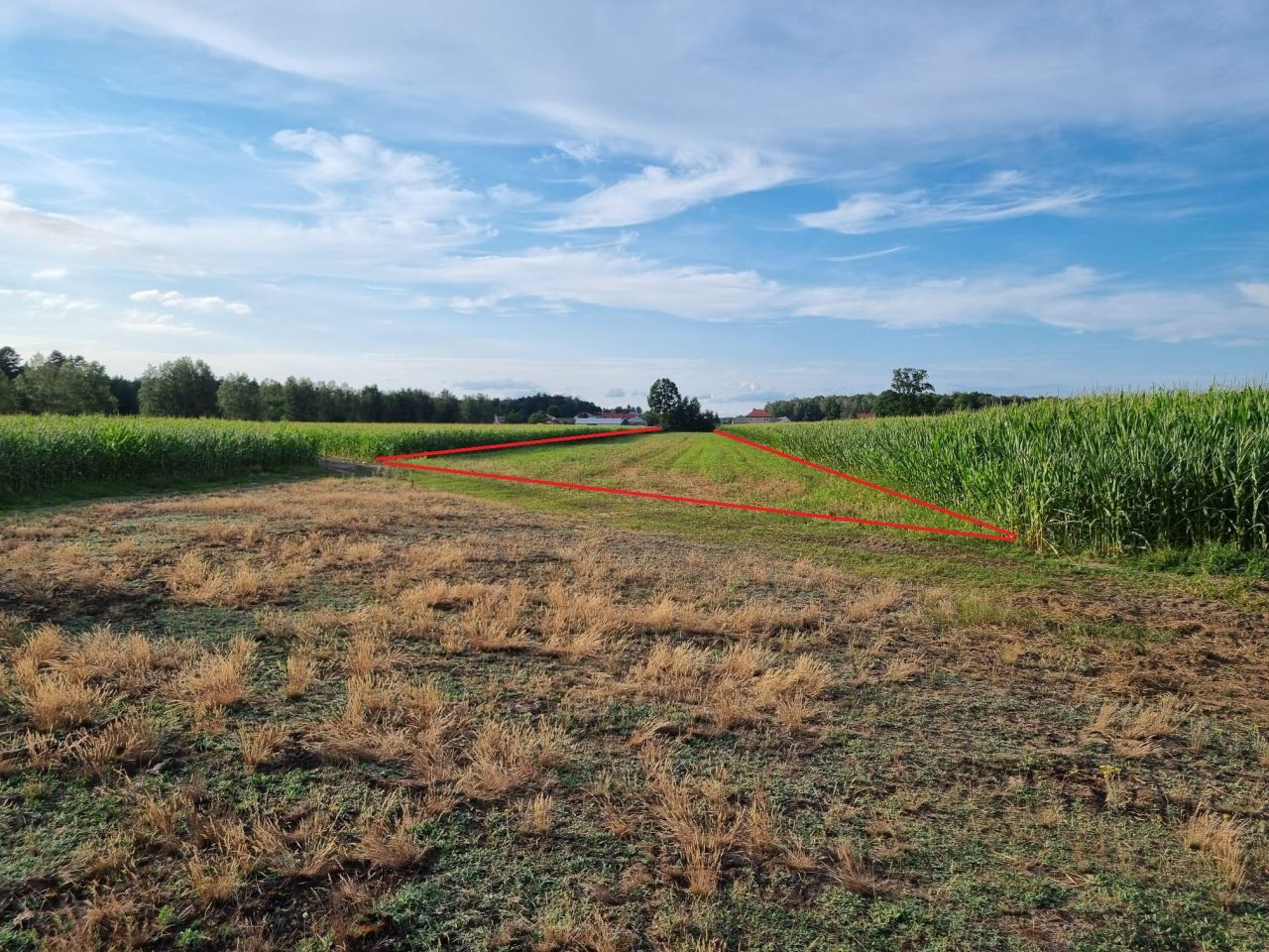Działka budowlana Adelin, ul. Oliwkowa. Zdjęcie 4