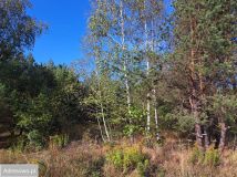 Działka budowlana Białystok Bagnówka, ul. Łucji Prus. Zdjęcie 2