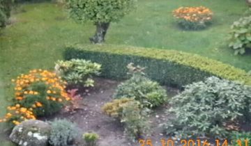 Mieszkanie 2-pokojowe Parzyn