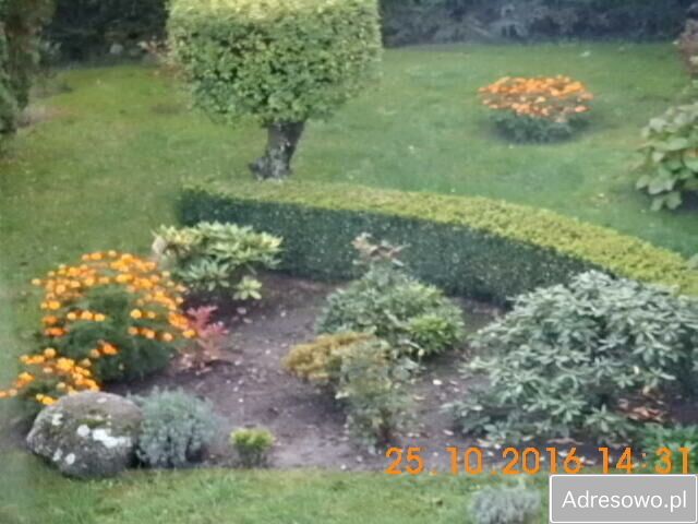 Mieszkanie 2-pokojowe Parzyn. Zdjęcie 2