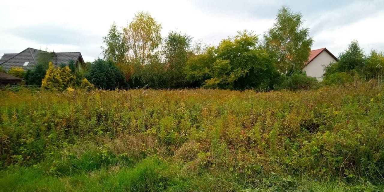 Działka budowlana Wilkszyn, ul. Wiosenna. Zdjęcie 5