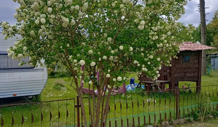 Działka rod Bierkowo, Brak.