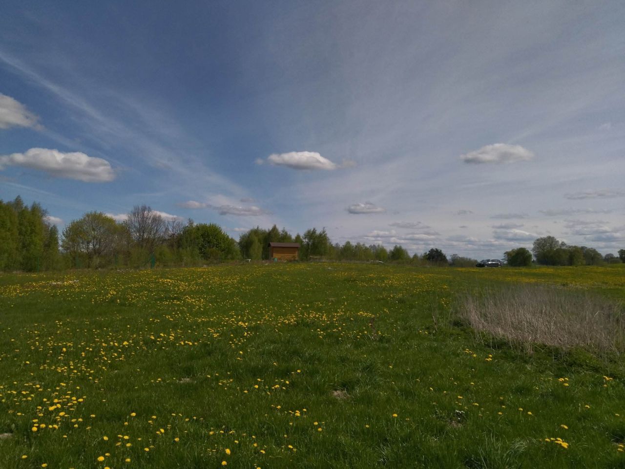 Działka rekreacyjna Raj. Zdjęcie 4