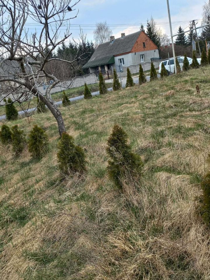 dom wolnostojący Kępina. Zdjęcie 6