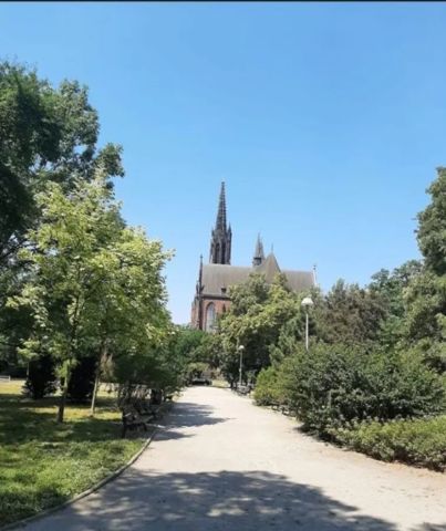 Mieszkanie 2-pokojowe Wrocław Ołbin, ul. Nowowiejska. Zdjęcie 4