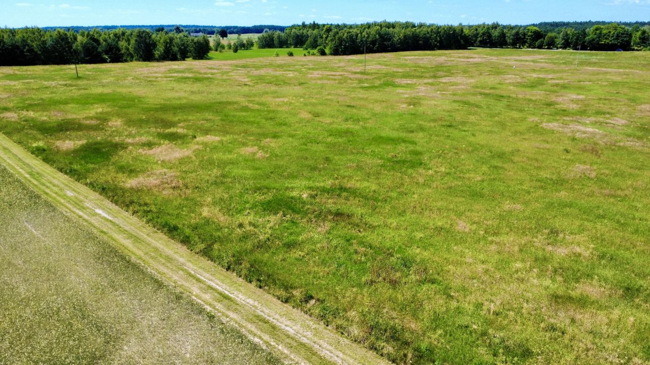Działka rolno-budowlana Teolog. Zdjęcie 7