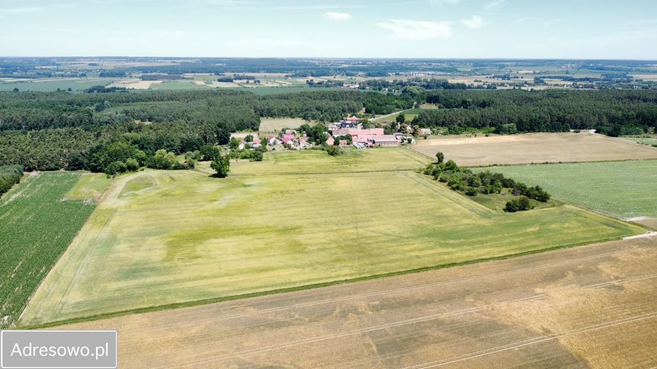 Działka rolno-budowlana Baranowice. Zdjęcie 1