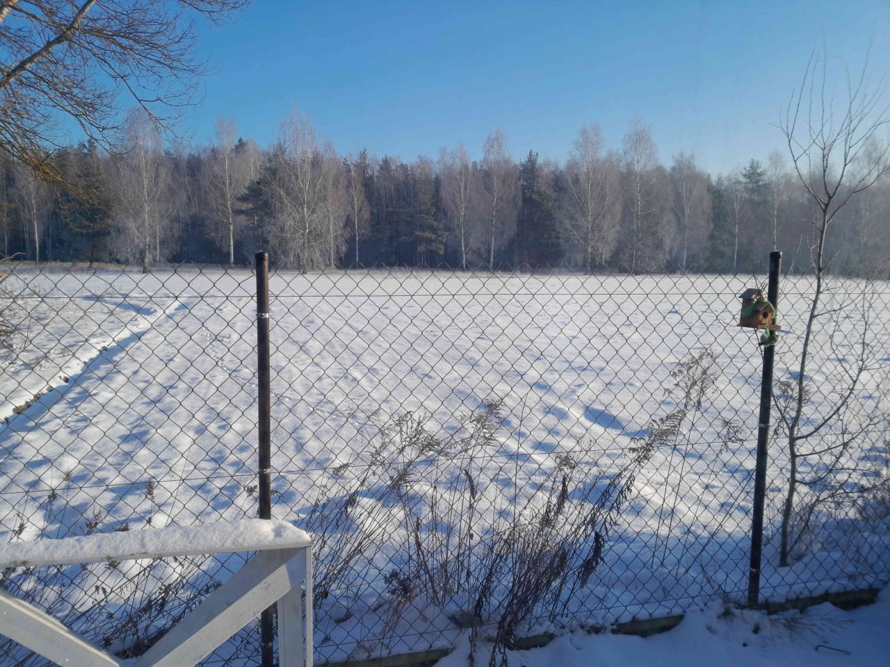 Działka rod Osuchów, ul. Wiejska. Zdjęcie 9