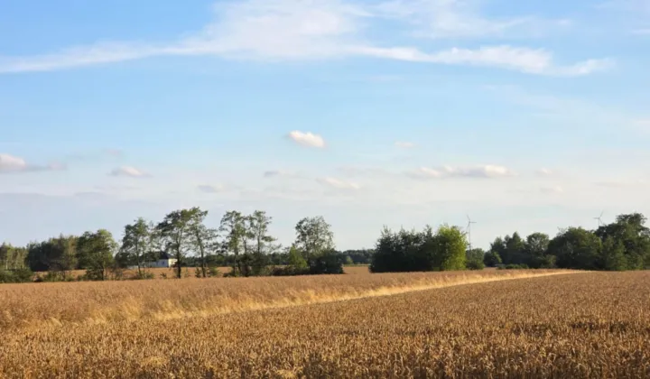 Działka rolna Nowe Kanigowo