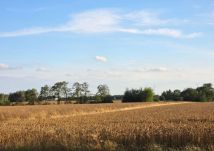 Działka rolna Nowe Kanigowo