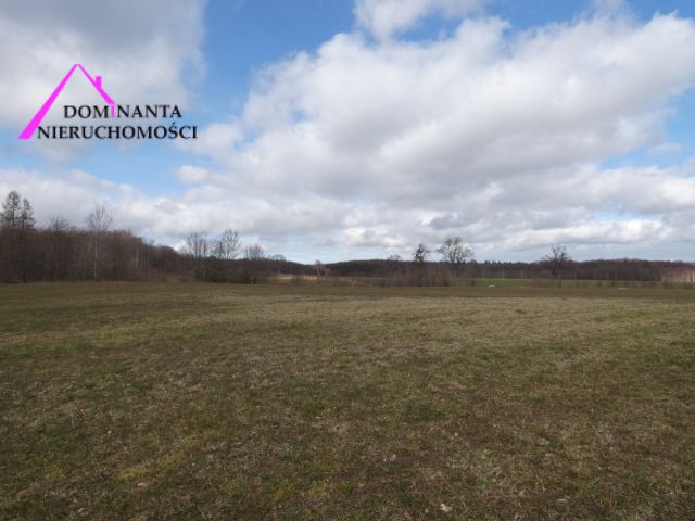 Działka budowlana Zdrada, ul. Leśna. Zdjęcie 11