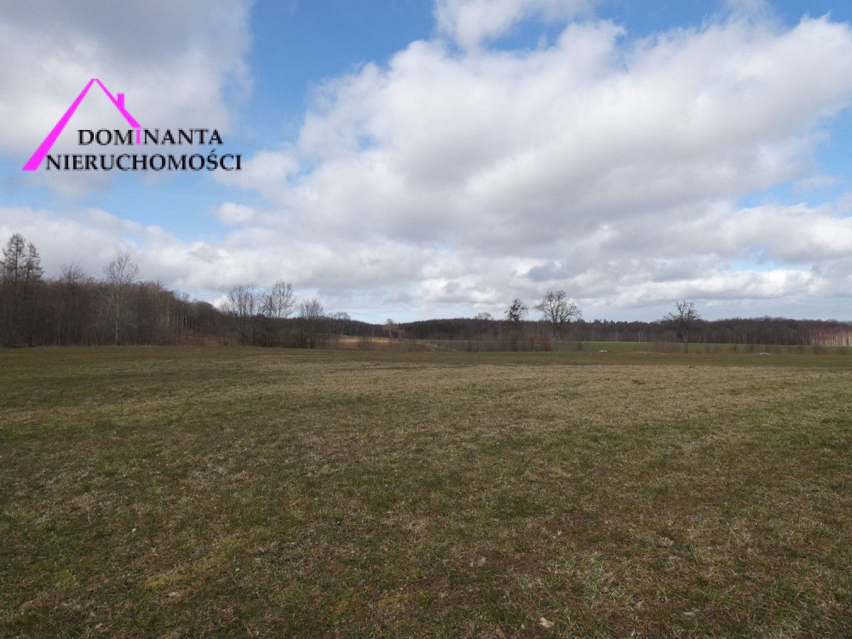 Działka budowlana Zdrada, ul. Leśna. Zdjęcie 11