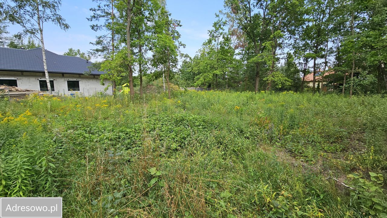 Działka leśna Hipolitów, ul. Dereniowa. Zdjęcie 1