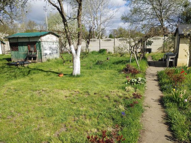 Działka rod Wrocław Psie Pole, ul. Henryka Michała Kamieńskiego. Zdjęcie 1