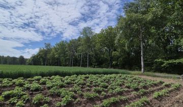 Działka rolno-budowlana Góra