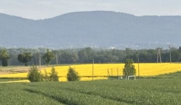 dom wolnostojący, 8 pokoi Bielany