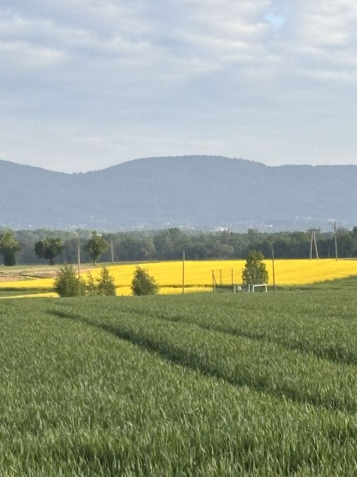 dom wolnostojący, 8 pokoi Bielany. Zdjęcie 2