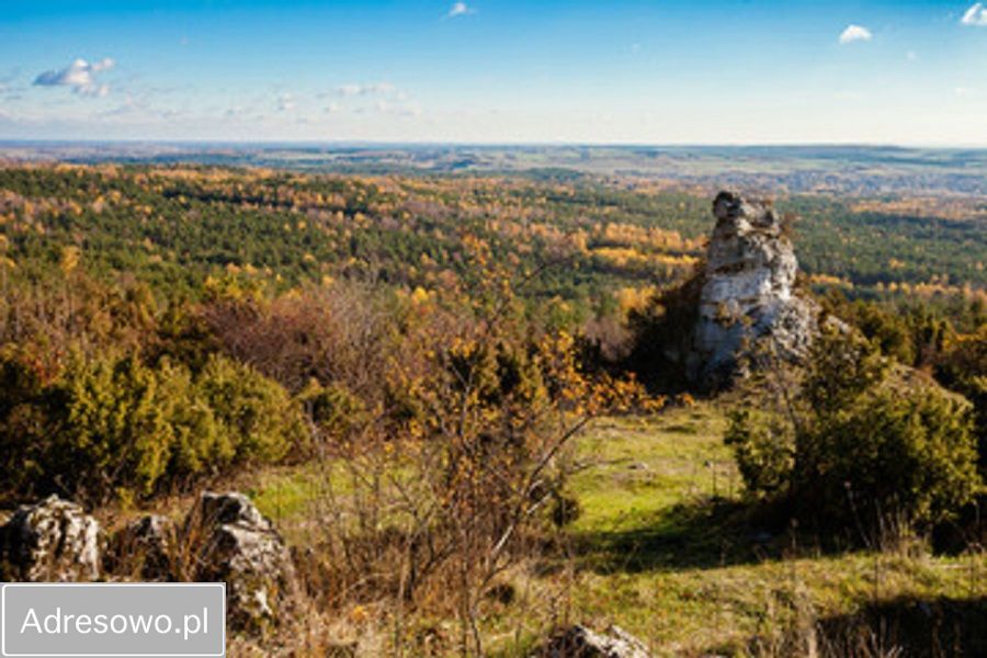 Działka budowlana Kiełkowice, ul. Więcki. Zdjęcie 6
