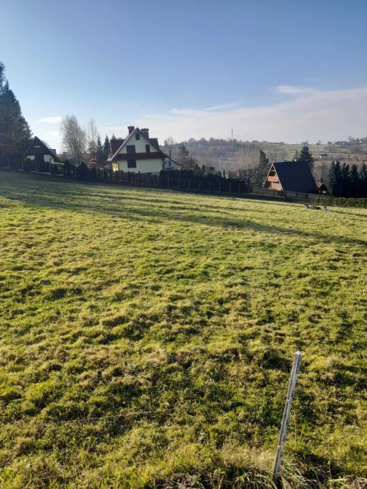 Działka budowlana Las. Zdjęcie 5