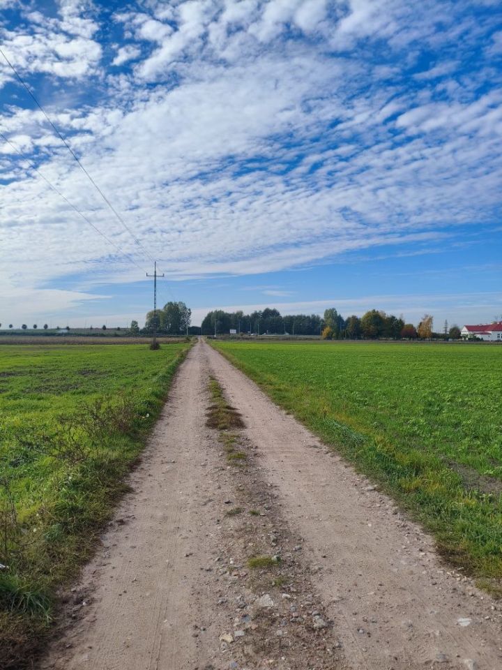 Działka rolna Przydatki Gołaszewskie. Zdjęcie 4