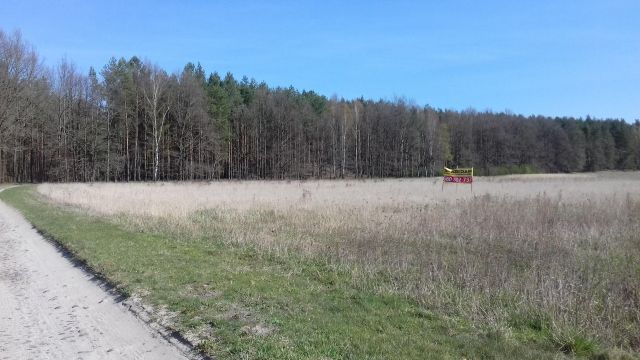 Działka budowlana Sieciejów. Zdjęcie 4