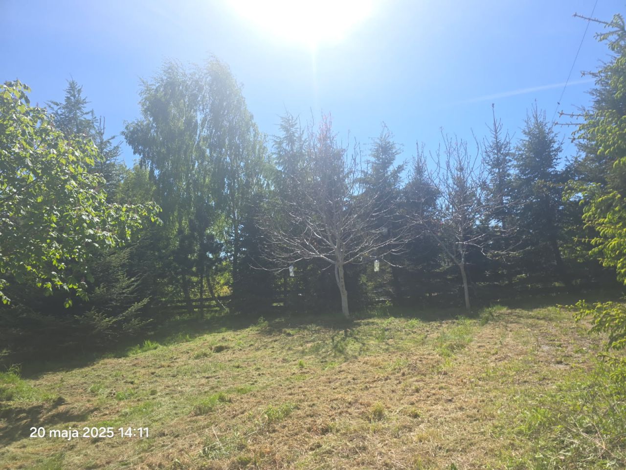 Działka budowlana Mierzeszyn, ul. Brzozowa. Zdjęcie 4