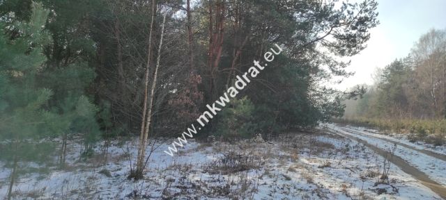 Działka budowlana Ojrzanów. Zdjęcie 3