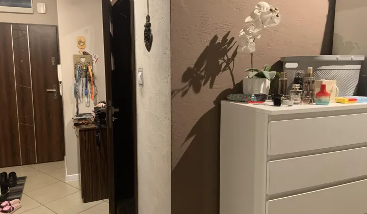 Mieszkanie 3-pokojowe Żuromin, Zielona