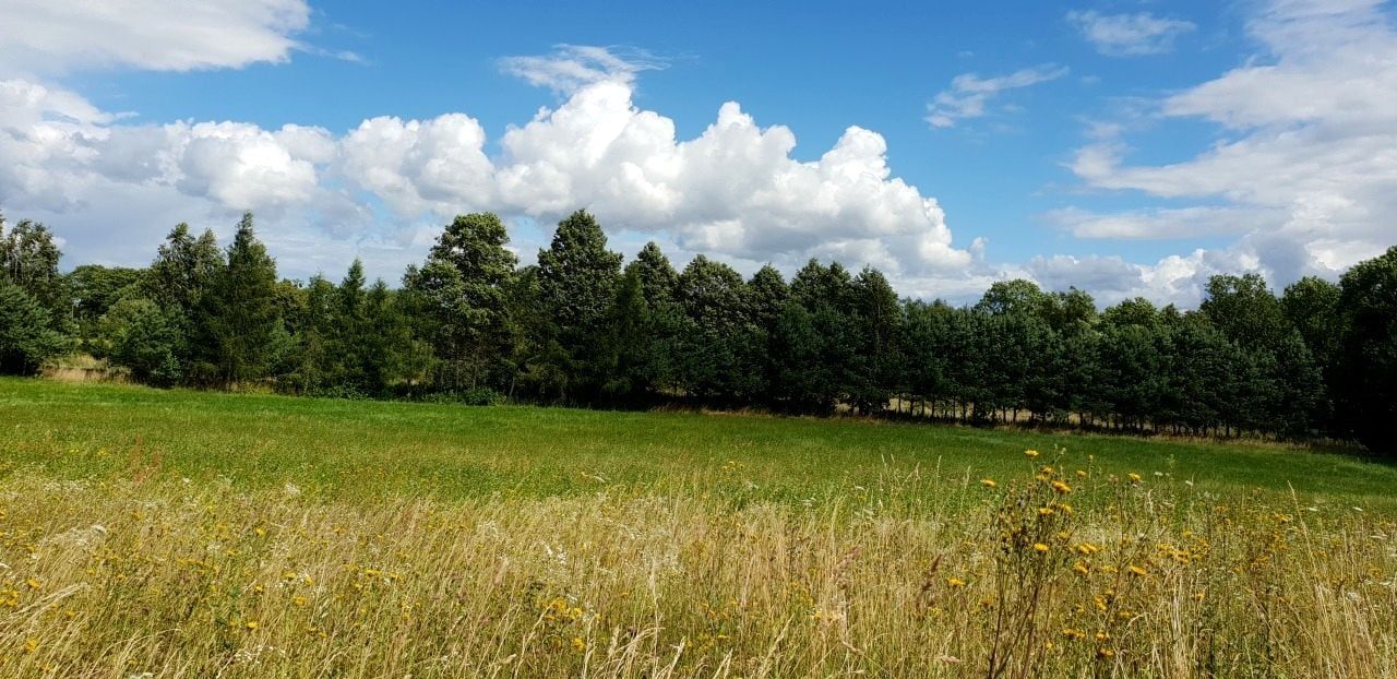 Działka siedliskowa Stręgiel. Zdjęcie 6