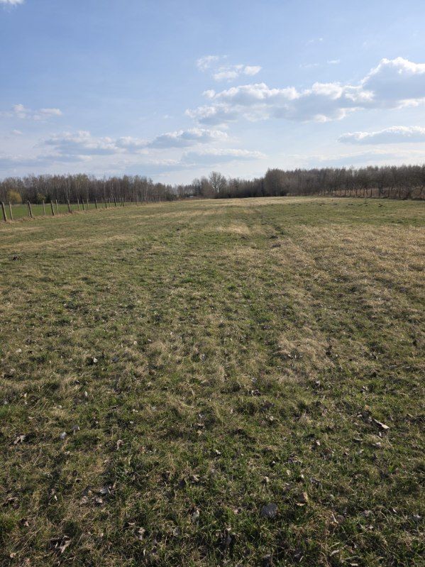 Działka budowlana Jakubowizna. Zdjęcie 14