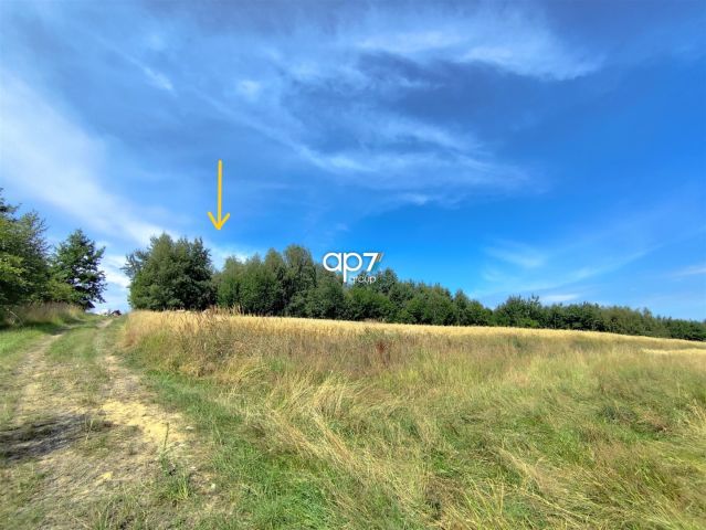 Działka rolna Bodzanów. Zdjęcie 1