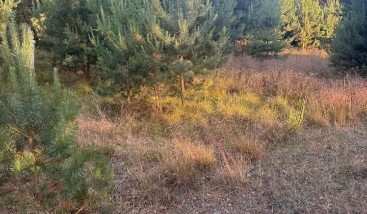 Działka budowlana Łośno