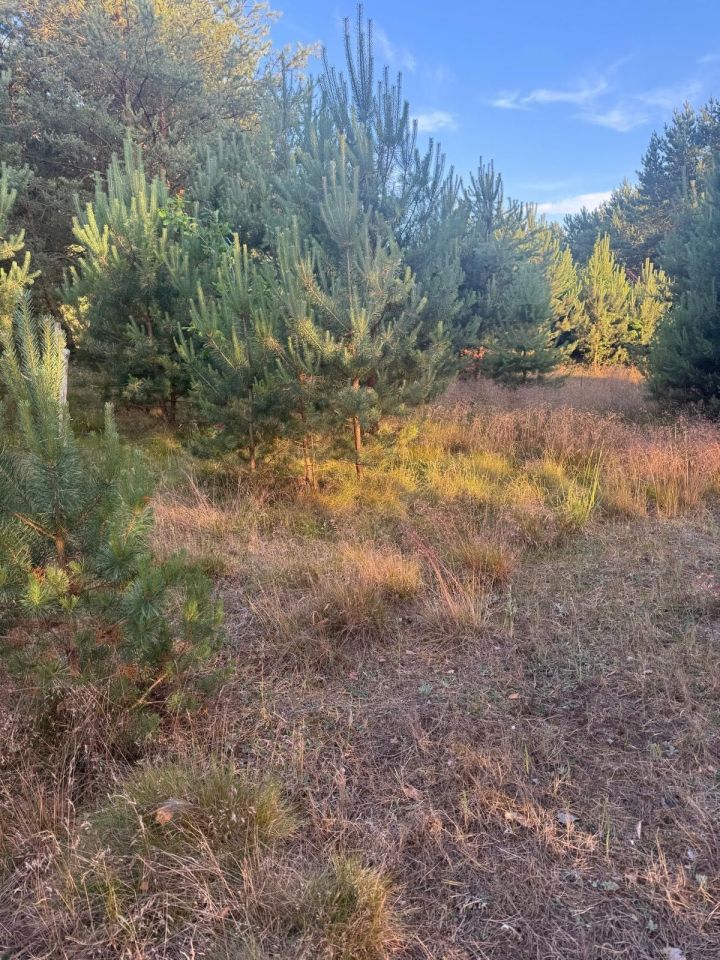 Działka budowlana Łośno