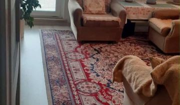 Mieszkanie 3-pokojowe Zamość, ul. Oboźna