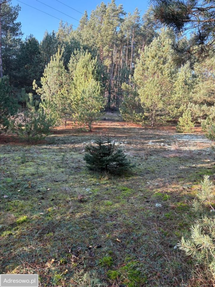 Działka budowlana Łążyn. Zdjęcie 4