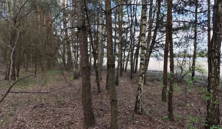 Działka budowlana Krupia Wólka, ul. Dolna
