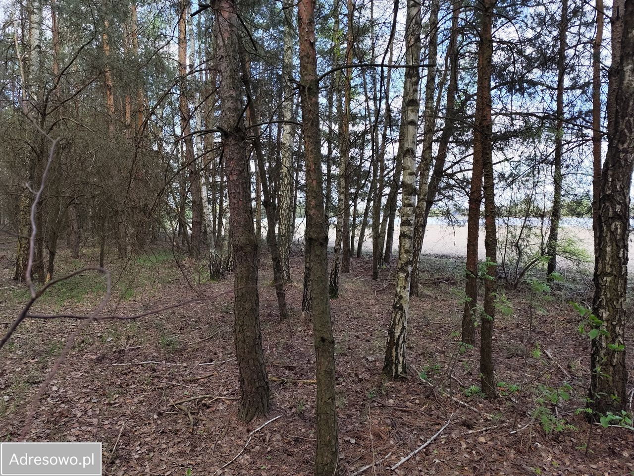 Działka budowlana Krupia Wólka, ul. Dolna. Zdjęcie 1